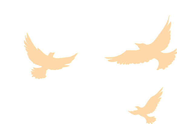 筑梦启程|珠海PA旗舰厅官网2025迎新晚会暨2024年度表彰大会 筑梦启程|珠海PA旗舰厅官网2025迎新晚会暨2024年度表彰大会