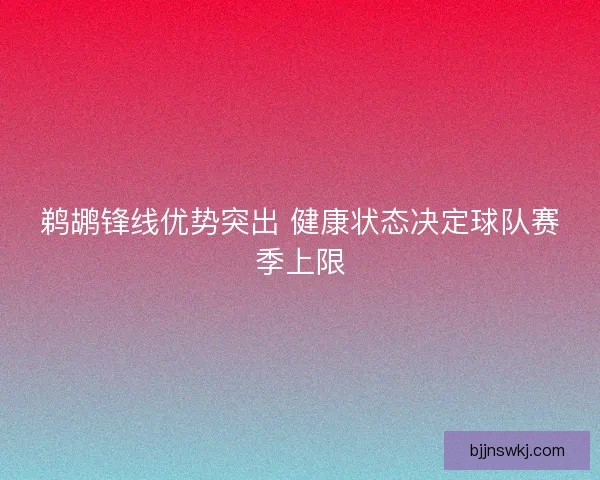 鹈鹕锋线优势突出 健康状态决定球队赛季上限 鹈鹕锋线优势突出 健康状态决定球队赛季上限