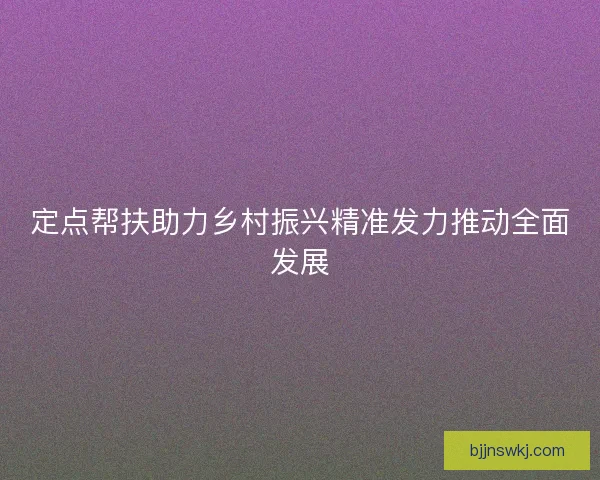 定点帮扶助力乡村振兴精准发力推动全面发展 定点帮扶助力乡村振兴精准发力推动全面发展